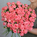 КУСТОВЫЕ РОЗЫ КУСТОВЫЕ РОЗЫ