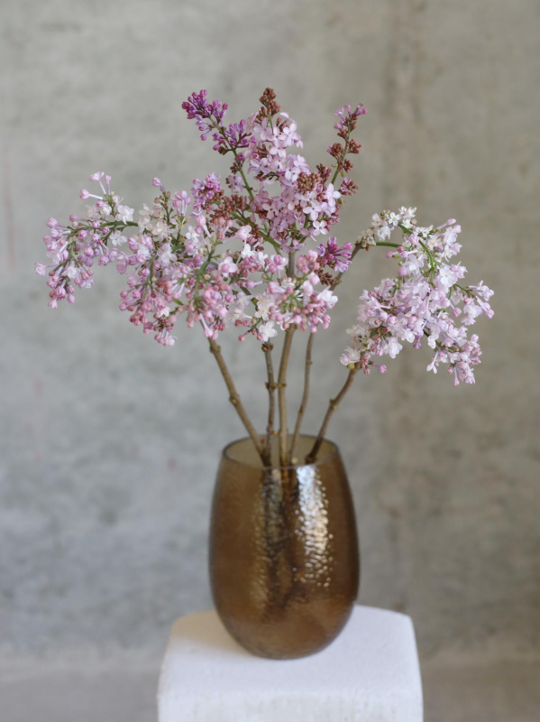 Ваза Энрика