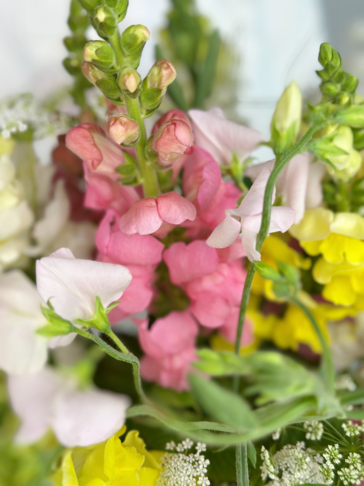 ЛЕТНИЙ БУКЕТ С ЛЬВИНЫМ ЗЕВОМ И ДУШИСТЫМ ГОРОШКОМ