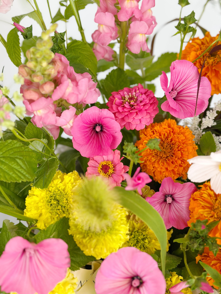 КОСМЕЯ, ЛАВАТЕРА, ЛЬВИНЫЙ ЗЕВ В ПЛЕТЕНОЙ КОРЗИНЕ