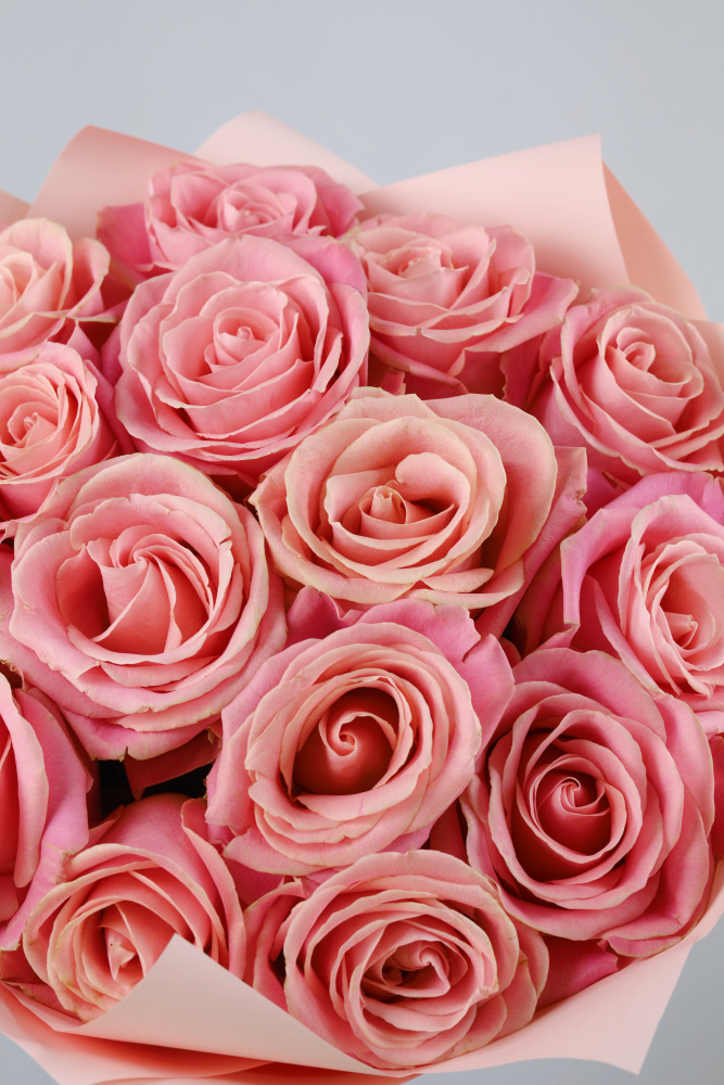 БУКЕТ 15 РОЗОВЫХ РОЗ