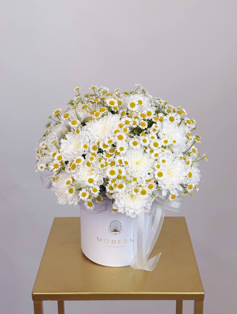 КОМПОЗИЦИЯ С РОМАШКОЙ КОМПОЗИЦИЯ С РОМАШКОЙ