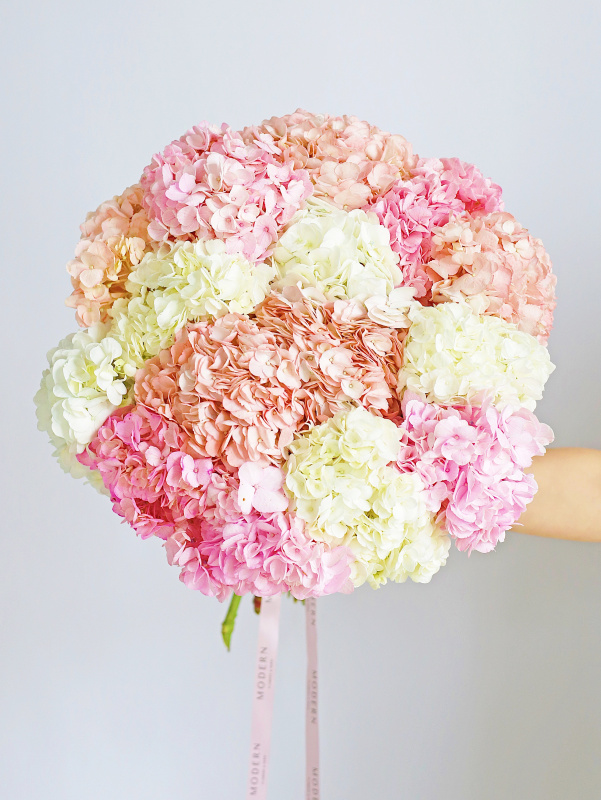 БУКЕТ 15 ГОРТЕНЗИЙ БУКЕТ 15 ГОРТЕНЗИЙ